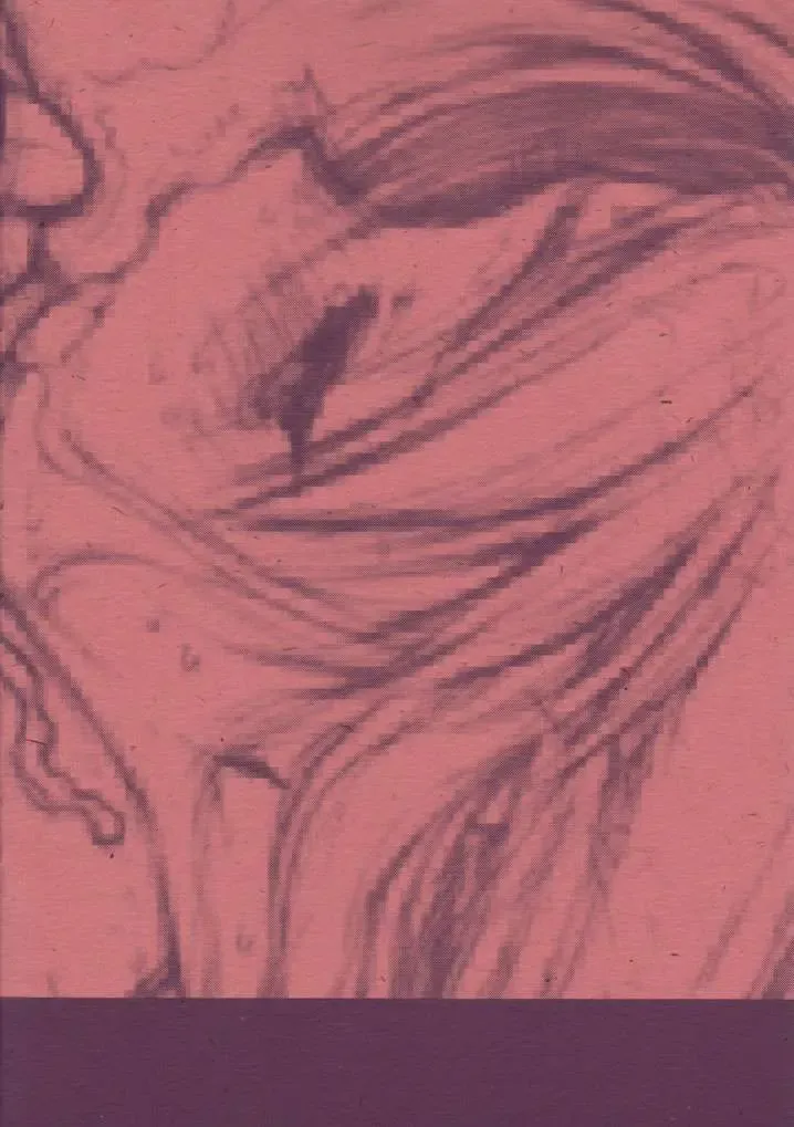 [Rit.] DESTRUCTION GIRL Appendix Fhentai - Page 10