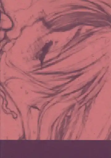 [Rit.] DESTRUCTION GIRL Appendix Fhentai - Page 10