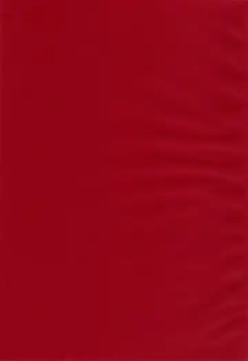 [Sanbun Kyoden - Umu Rahi] Akebi no Mi - Satomi AFTER Fhentai - Page 2