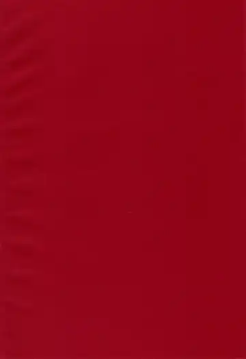 [Sanbun Kyoden - Umu Rahi] Akebi no Mi - Satomi AFTER Fhentai - Page 35