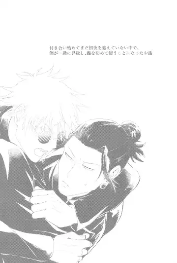 [Shourin Kiyoshi] Hajimete wa Ore no Mono Fhentai - Page 2