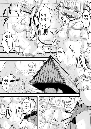 [Gin-chan] Lilith's Troubles Fhentai - Page 51