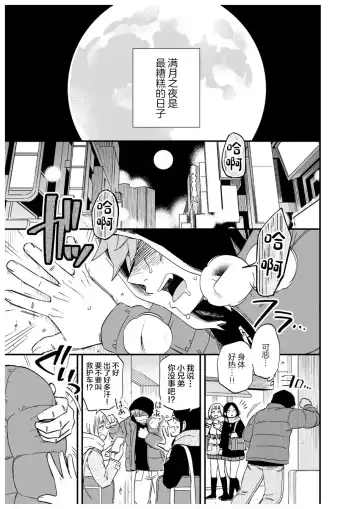 [Draw2] Karisome Ookami Fhentai - Page 2