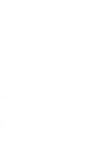 [Momosamu] Furi Furi '21 Fhentai - Page 2