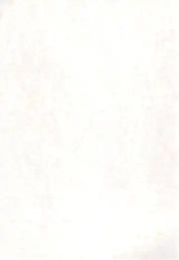 [Kiiro 4-gou] Puni Para petit Fhentai - Page 3