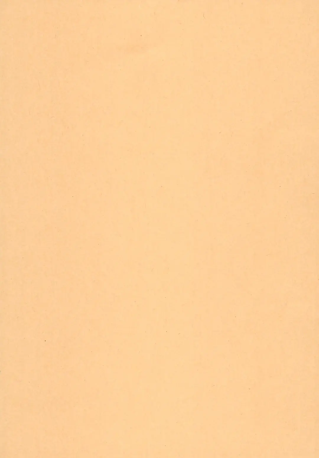 Kemomi Mashi Fhentai - Page 11