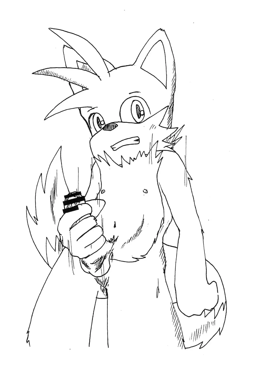 [Mulfrec] Tails-kun mo suru koto suru no? Fhentai - Page 6