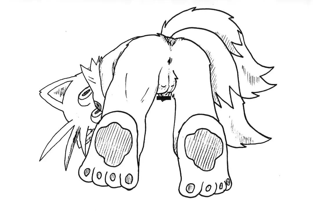 [Mulfrec] Tails-kun mo suru koto suru no? Fhentai - Page 11