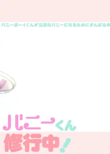 [Jomo] Bunny-kun Shugyouchuu! Fhentai - Page 20