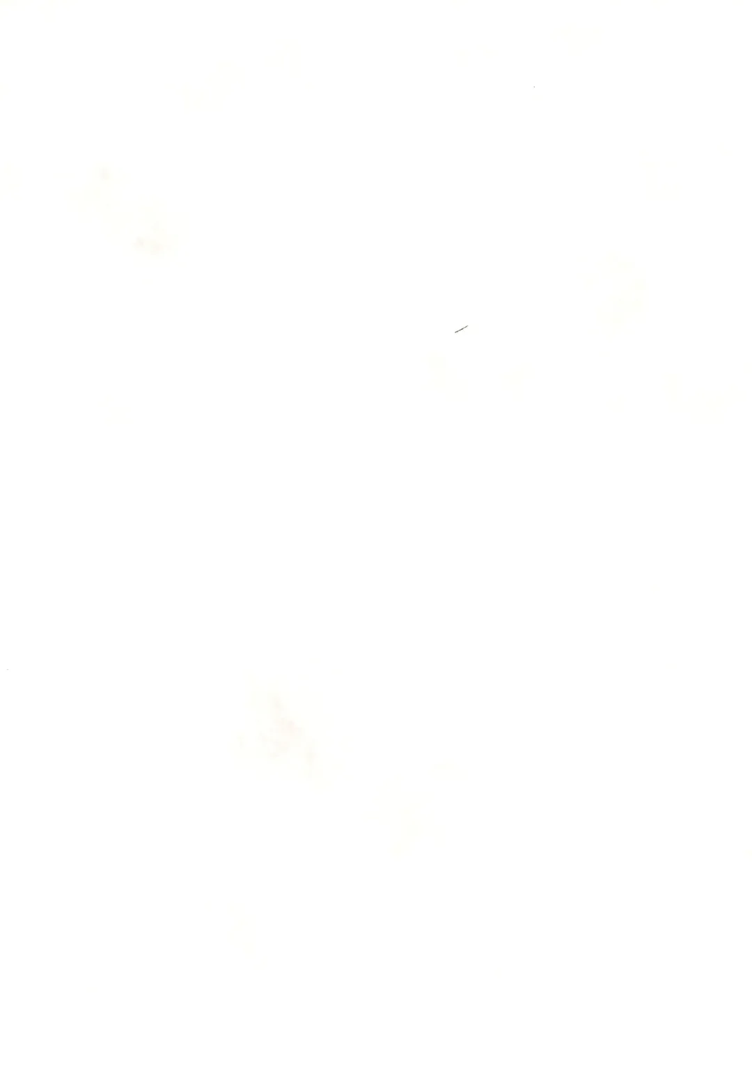 [Nagoyacochin] NAGOYASTYLE 001 Fhentai - Page 2