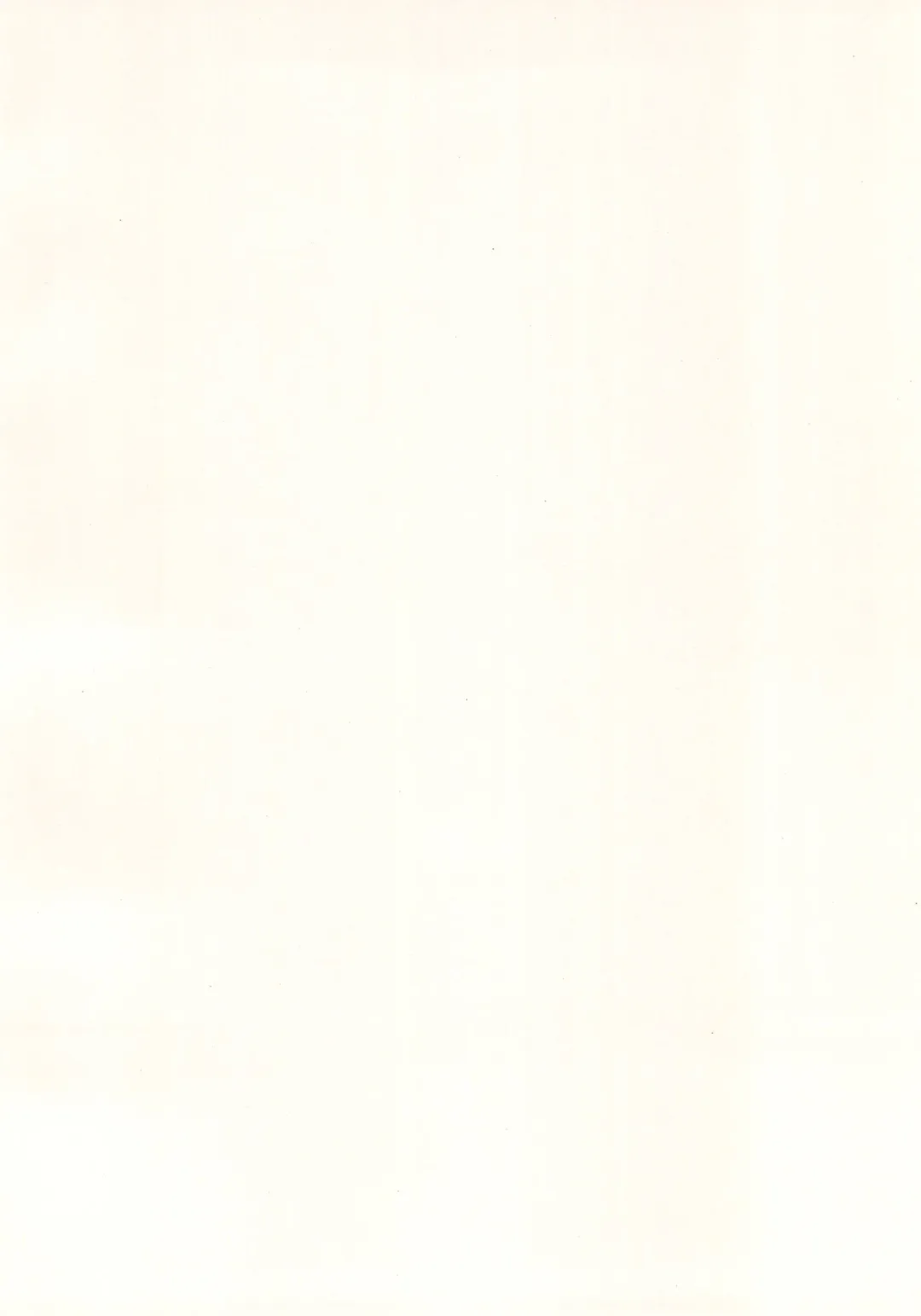 [Nagoyacochin] NAGOYASTYLE 001 Fhentai - Page 4