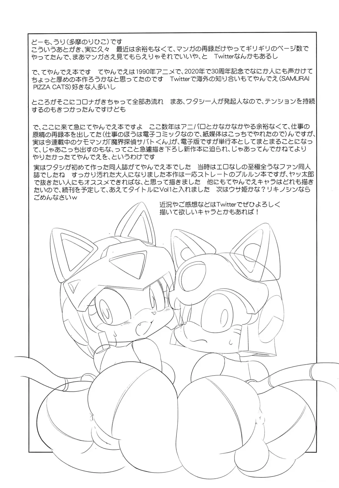 [Yamashita Woory] Nyankee Reppuuden Vol.1 Fhentai - Page 15