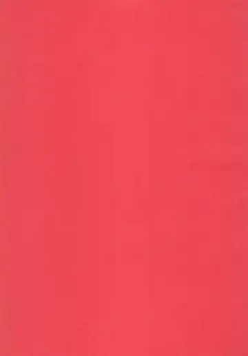 [Yamashita Woory] Nyankee Reppuuden Vol.1 Fhentai - Page 3