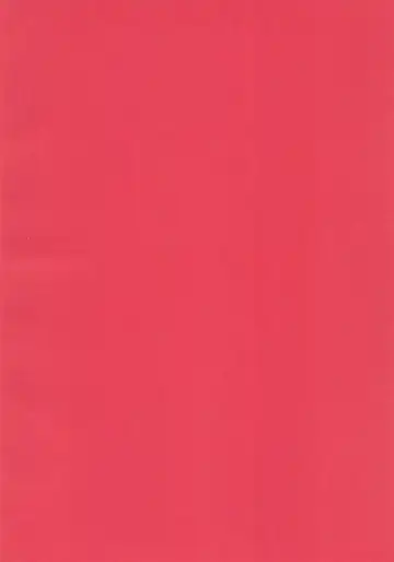 [Yamashita Woory] Nyankee Reppuuden Vol.1 Fhentai - Page 4