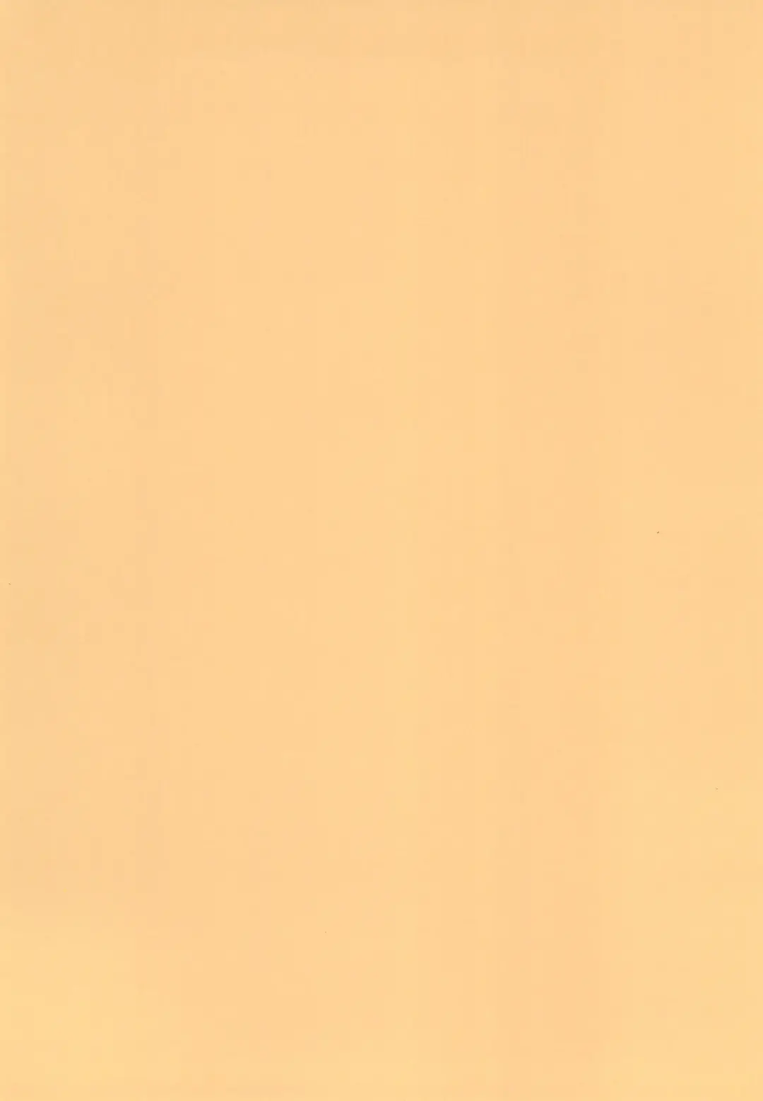 [Ro] Kemo Loli Ookami Ruli-chan ga Pet ni Sareru Wake ga Nai!! - Kemo Loli Wolf! Ruli Pet! Fhentai - Page 4