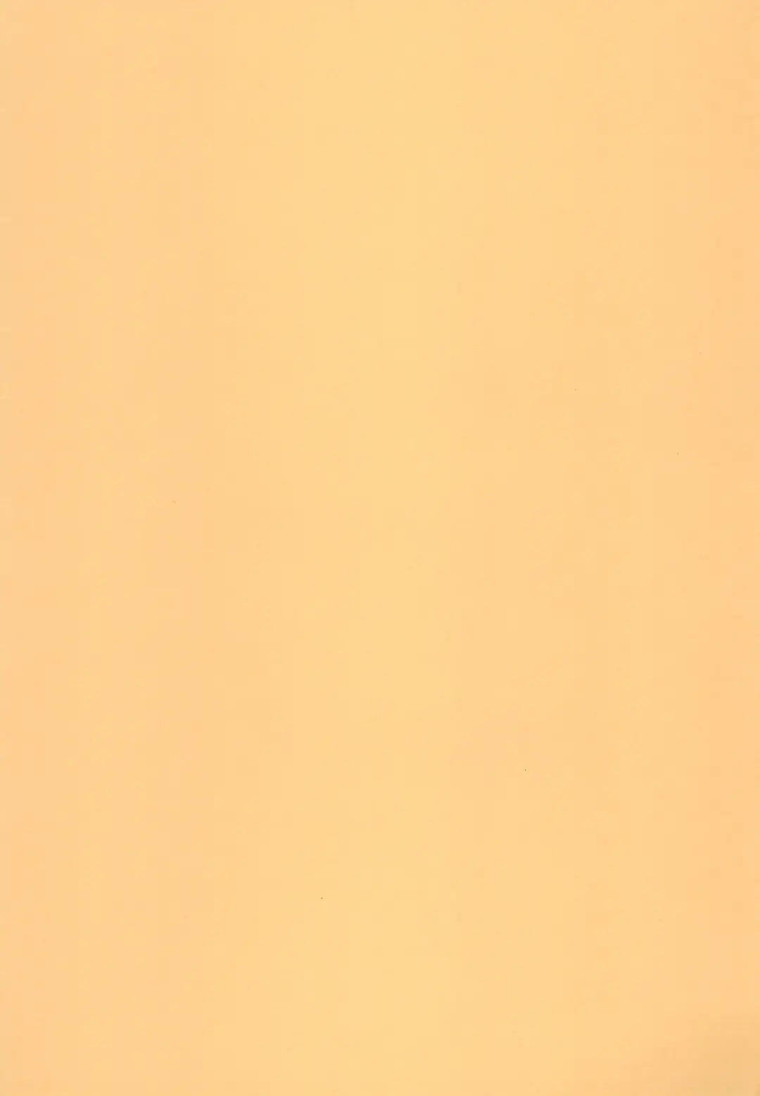 [Ro] Kemo Loli Ookami Ruli-chan ga Pet ni Sareru Wake ga Nai!! - Kemo Loli Wolf! Ruli Pet! Fhentai - Page 34