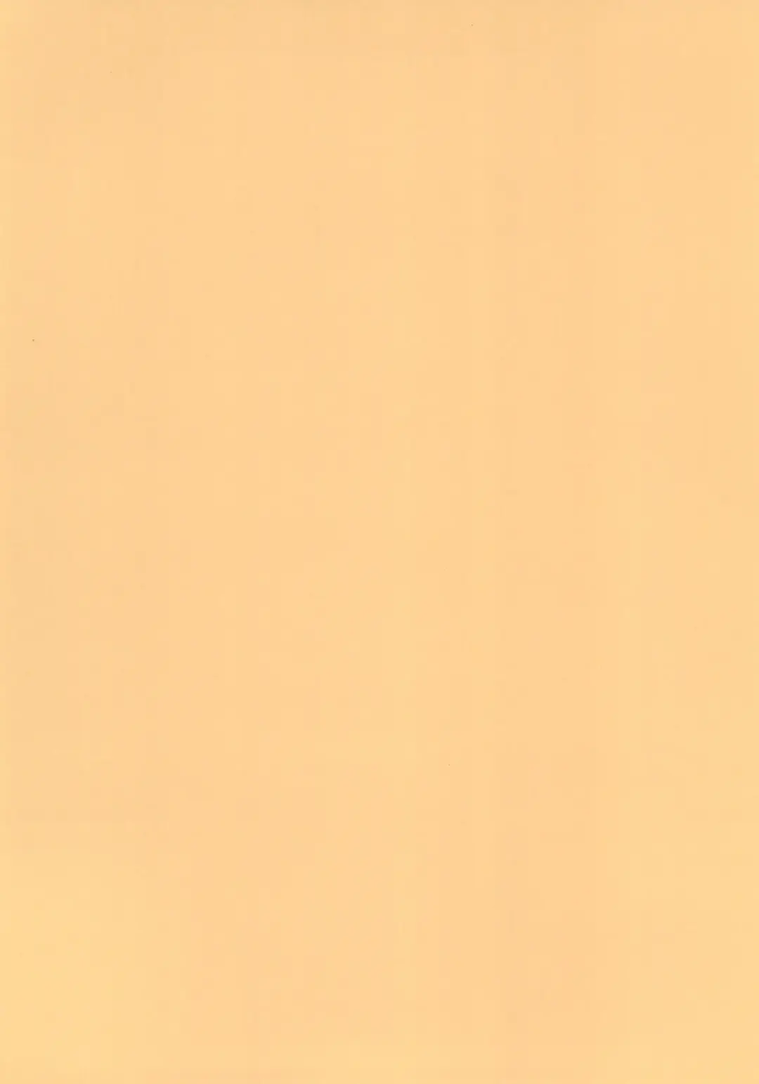 [Ro] Mesugaki Kemo Loli Himeka-chan ga Lolicon Oji-san nanka ni Makeru Wake ga Nai!! Fhentai - Page 4