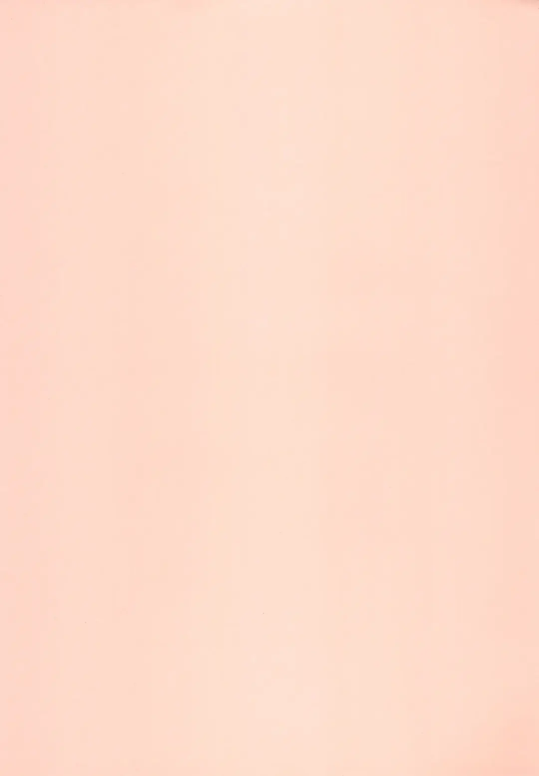 [Yamashita Woory] Nyankee Reppuuden Vol.2 Fhentai - Page 3