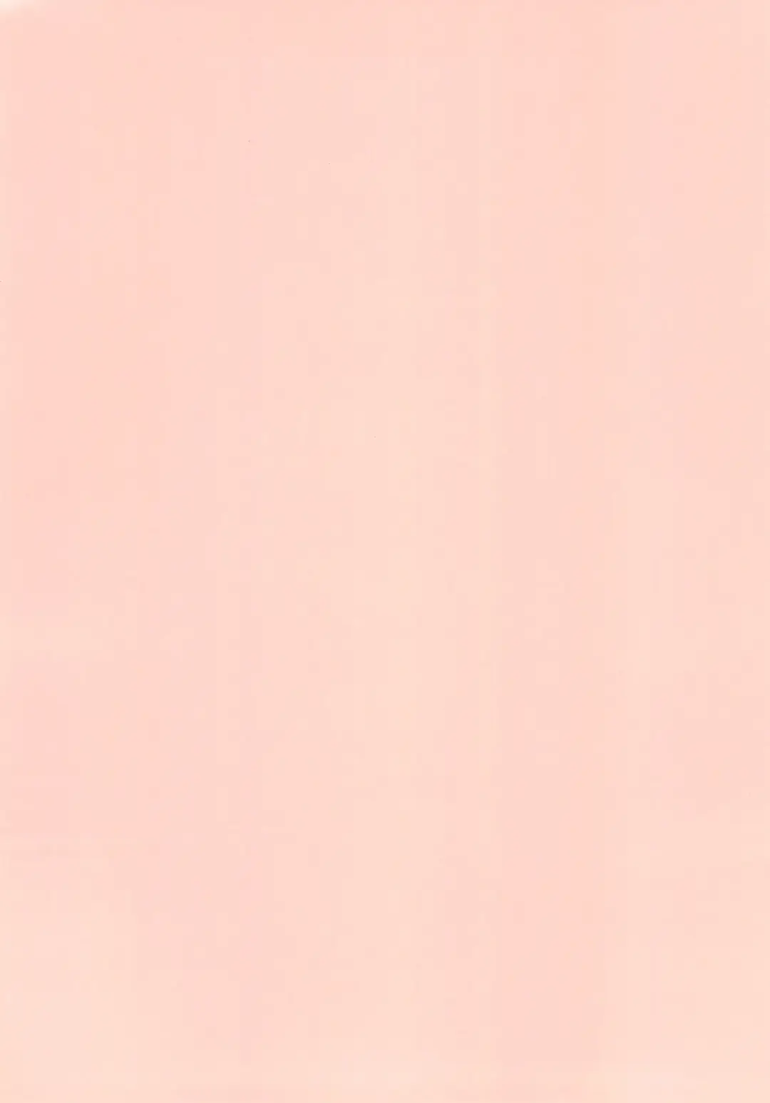 [Yamashita Woory] Nyankee Reppuuden Vol.2 Fhentai - Page 4