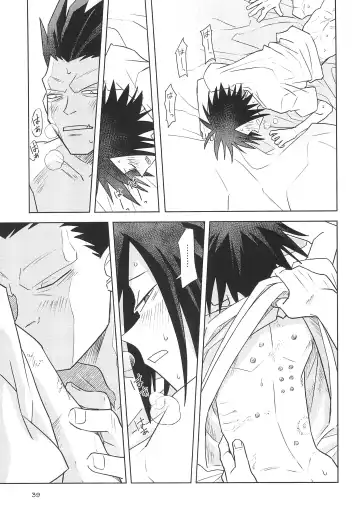 [Dimitri] Yamaarashi no Daydrem Fhentai - Page 41