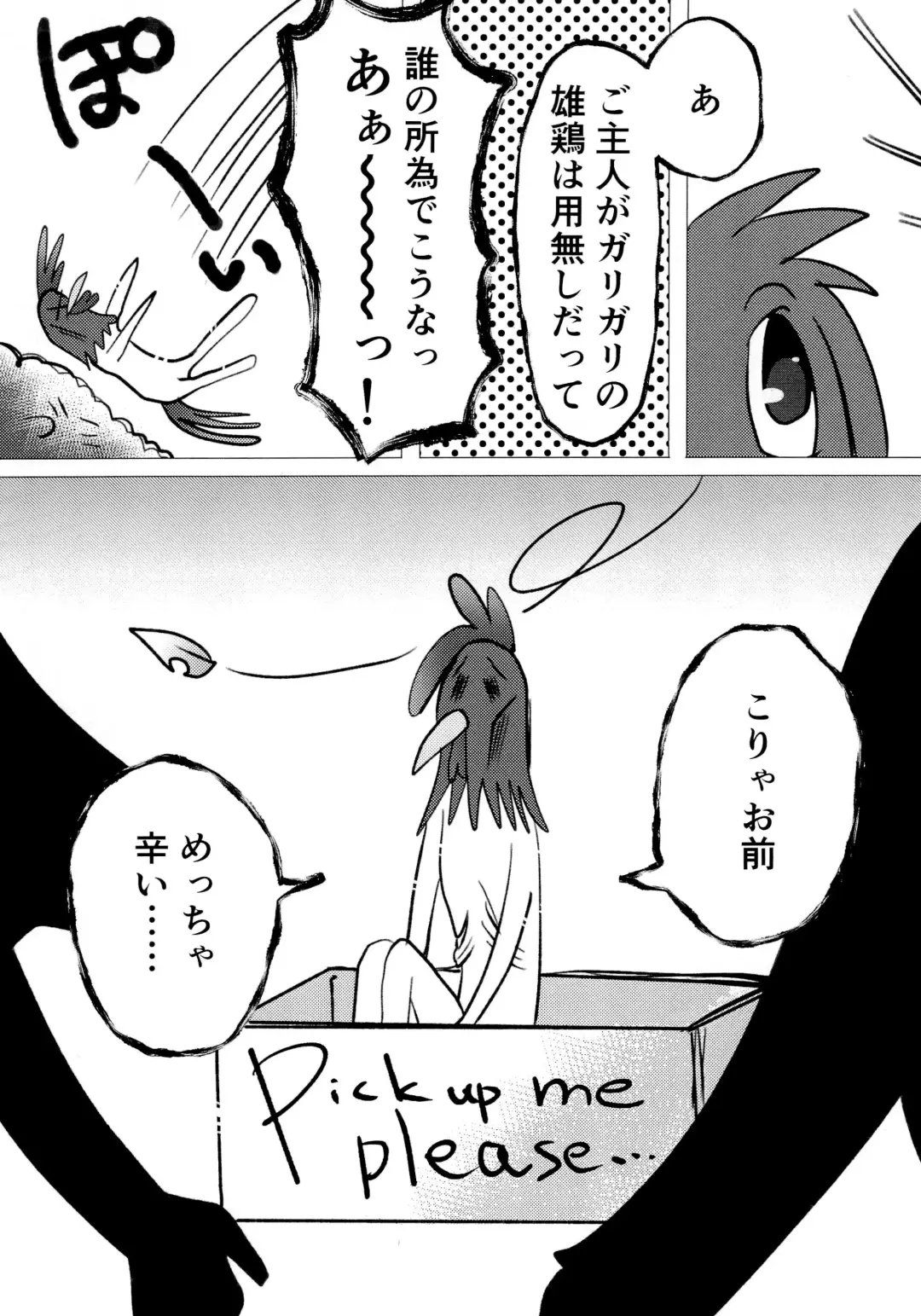 [Imotaco Nankin] Honkaku-teki Osu Youkei Fhentai - Page 6