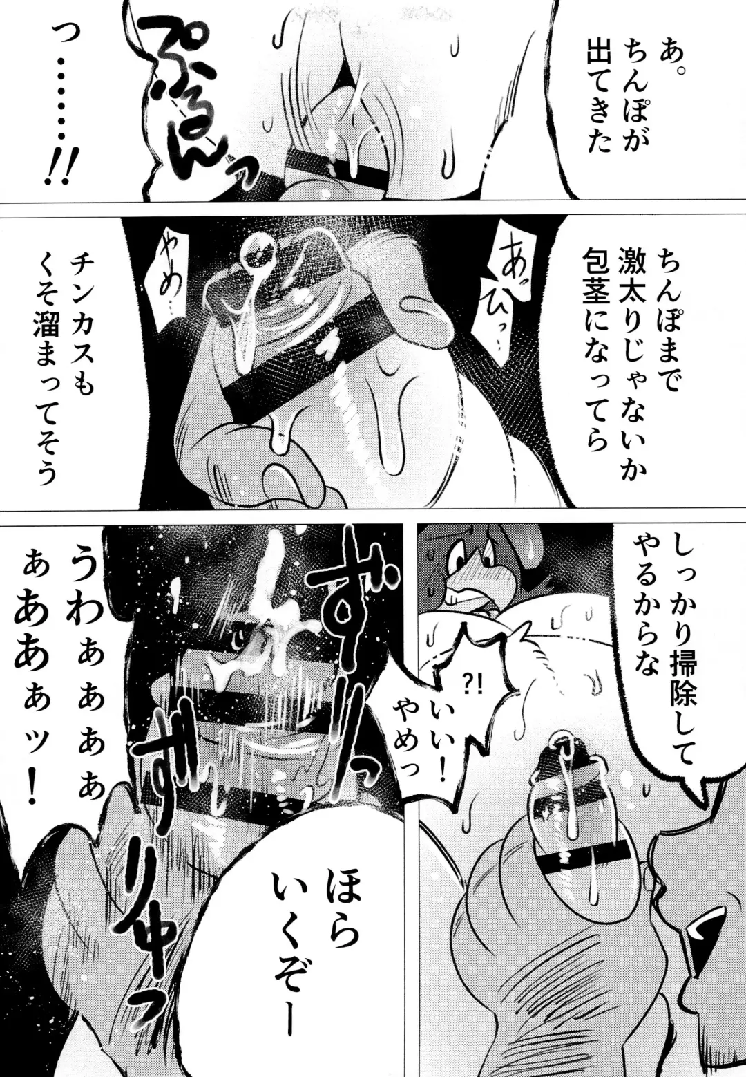 [Imotaco Nankin] Honkaku-teki Osu Youkei Fhentai - Page 13