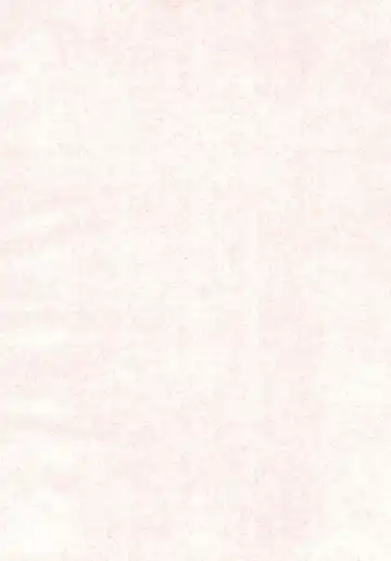 [Imotaco Nankin] Honkaku-teki Osu Youkei Fhentai - Page 4