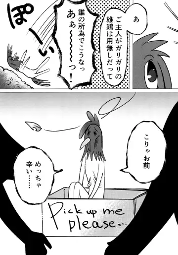 [Imotaco Nankin] Honkaku-teki Osu Youkei Fhentai - Page 6