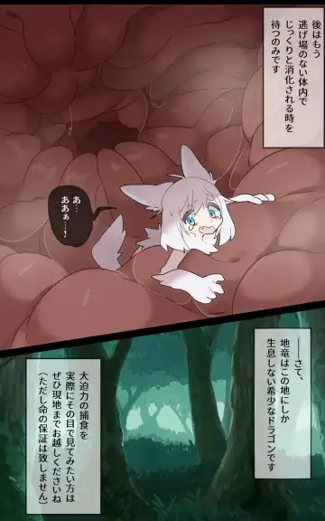 [Ima Att] Dinosaur-shaped dragon VORE Fhentai - Page 13