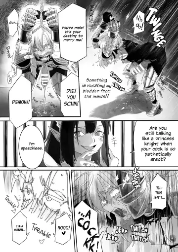 [Minaka Shobu] Kyuuketsuhime no Himekishi Kansatsu Fhentai - Page 11