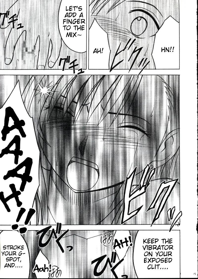 [Crimson] Kaikan no Materia 2 Fhentai - Page 14