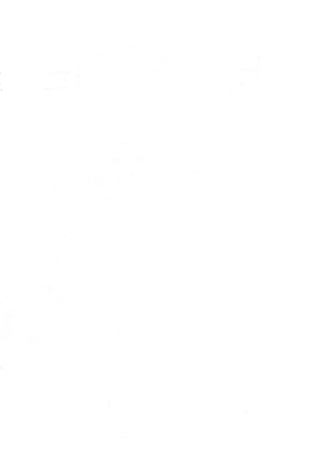 [Nekogen] Okini Fhentai - Page 2