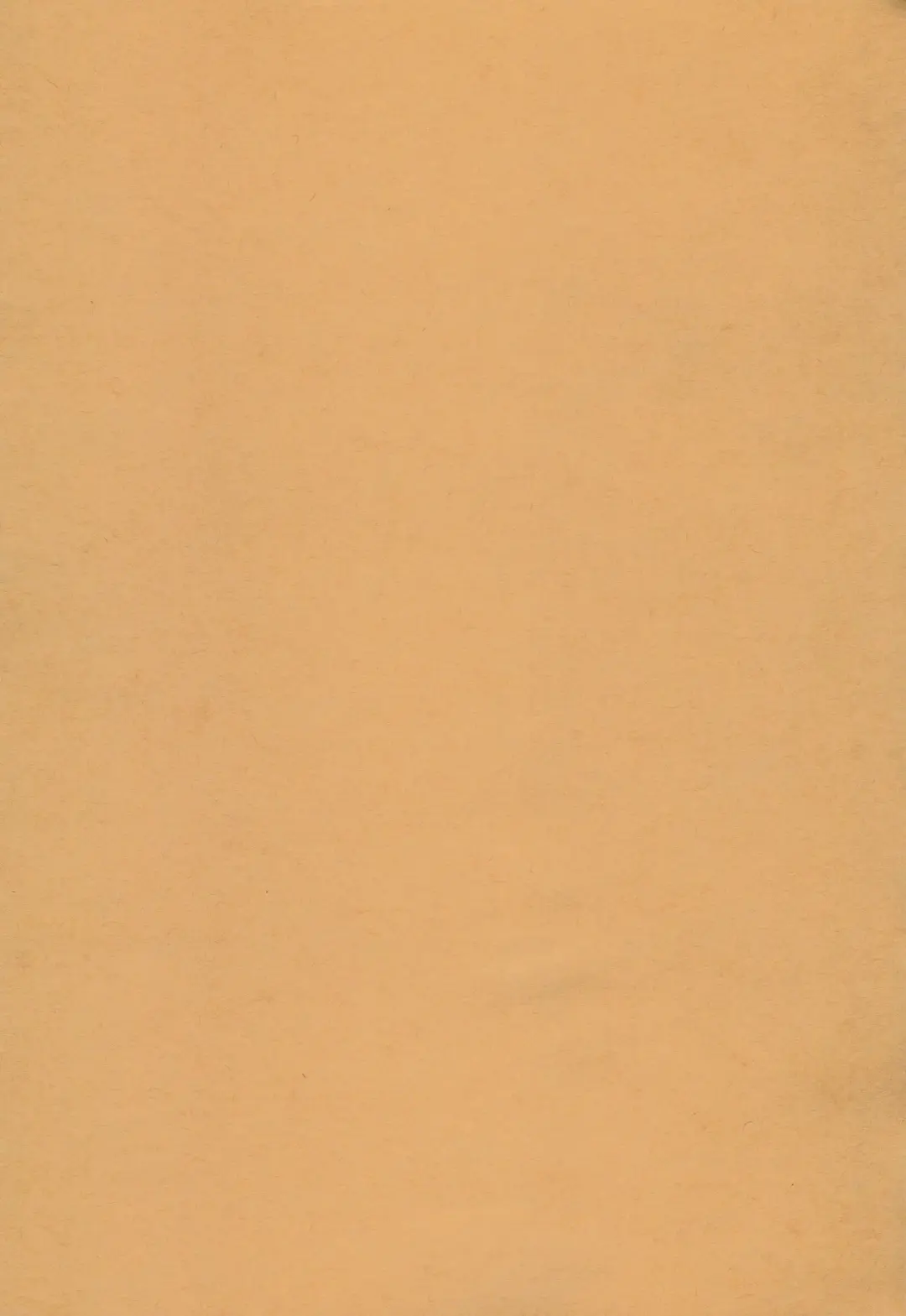 [Hachiwulf] Osasoi Bunny Fhentai - Page 3