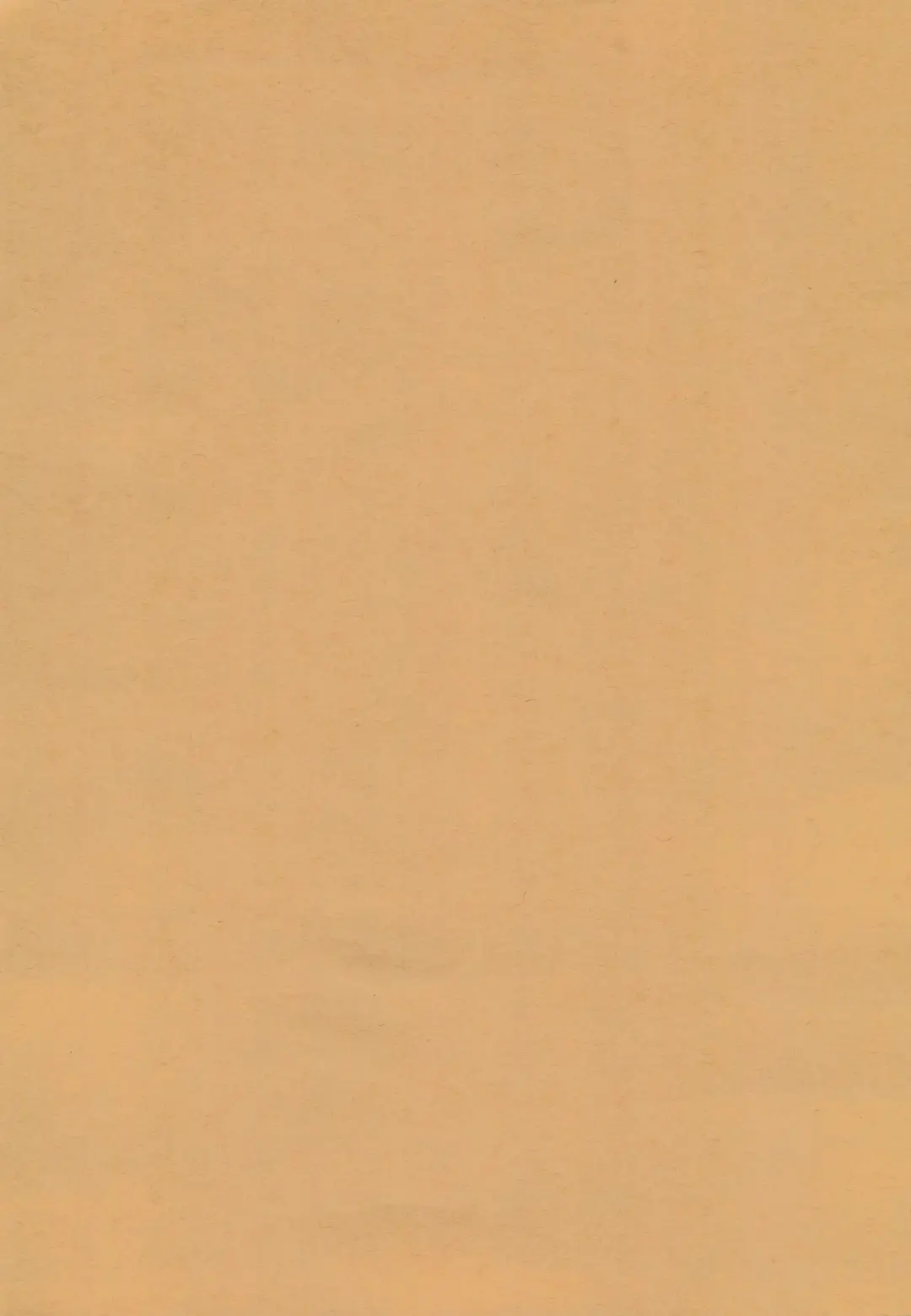 [Hachiwulf] Osasoi Bunny Fhentai - Page 4