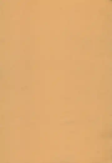 [Hachiwulf] Osasoi Bunny Fhentai - Page 3