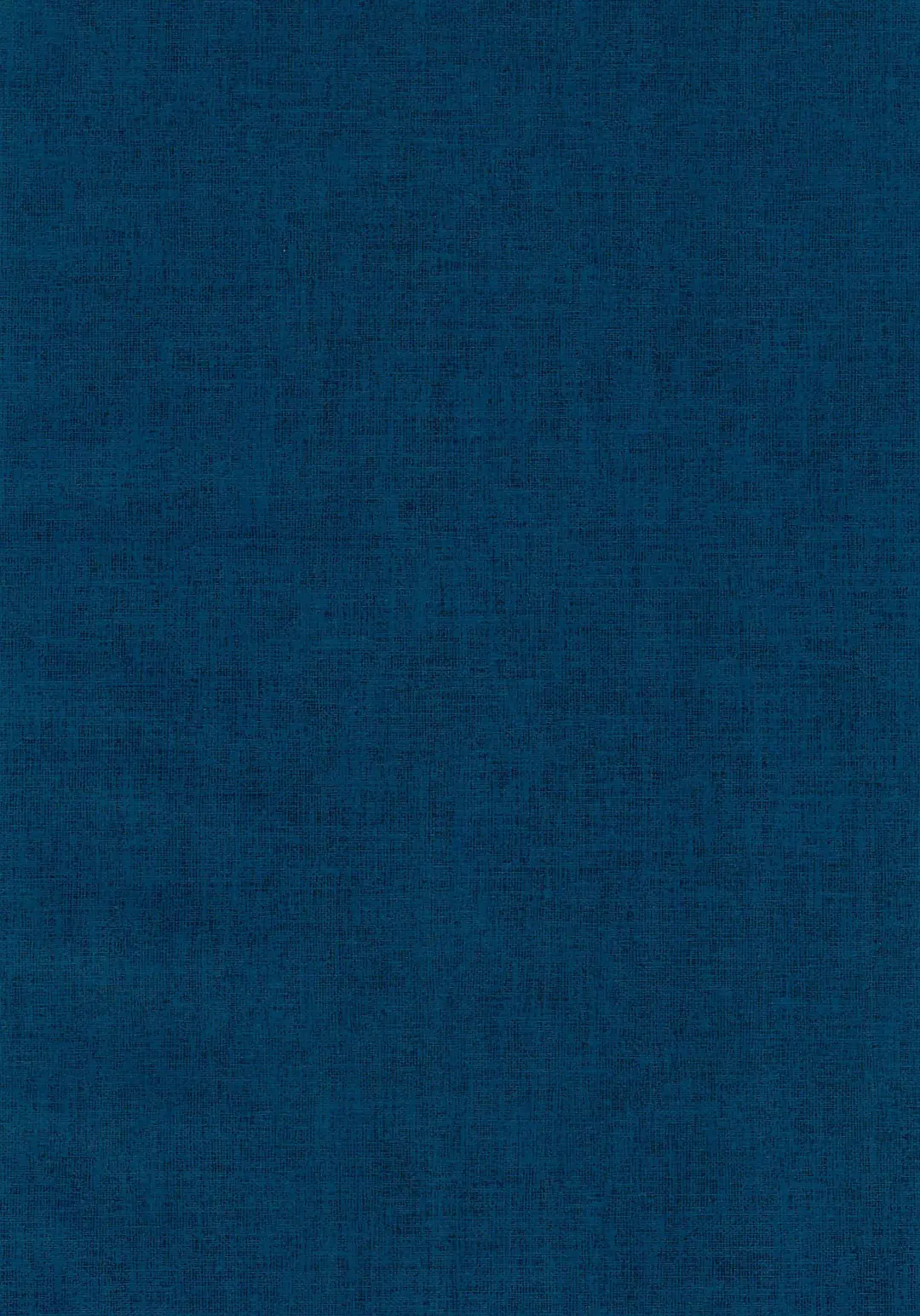 [Suu] Tousaku Romance Fhentai - Page 4