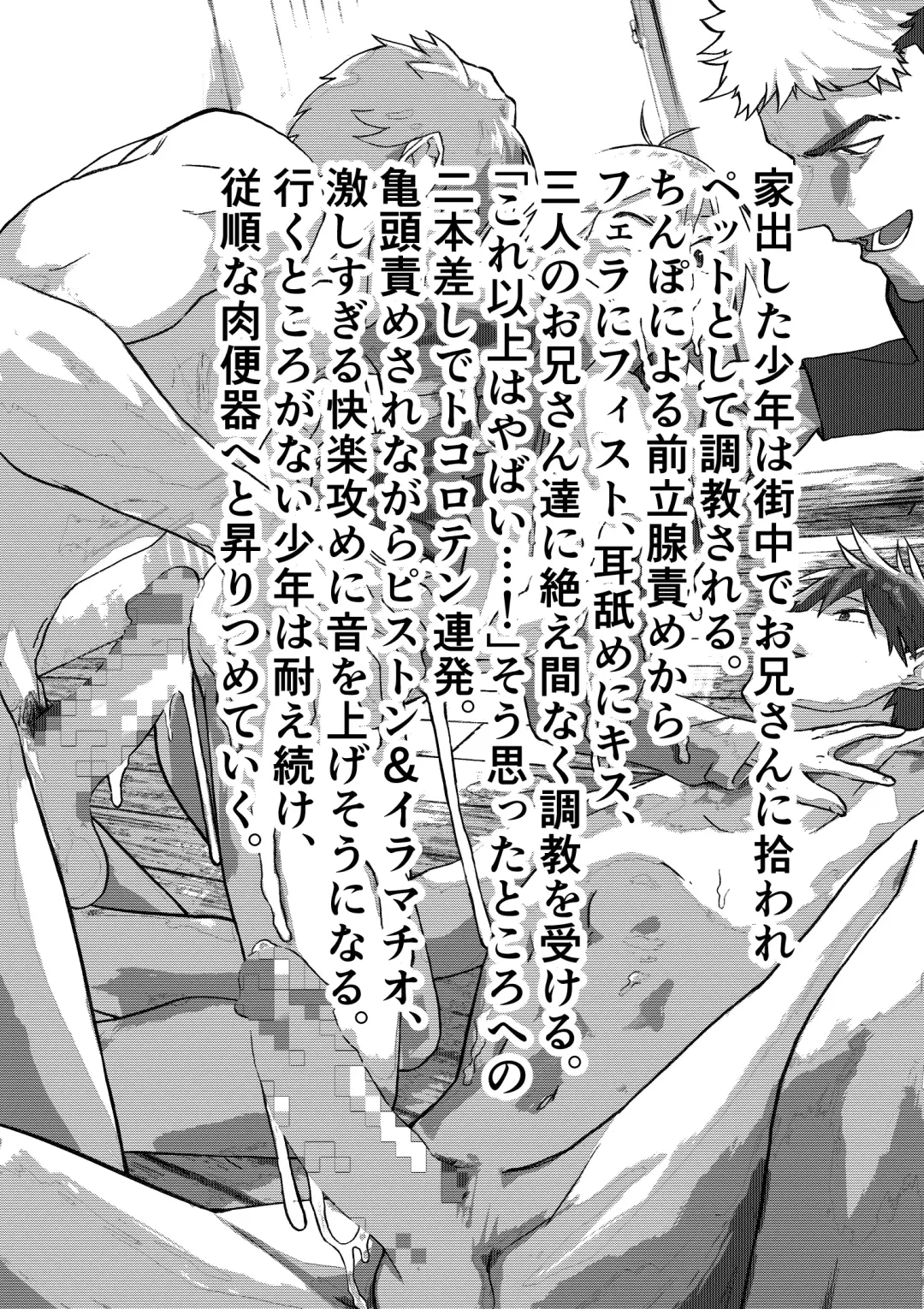 [Orukoa] Iede Shounen Anaru Choukyou Niku Benki Fhentai - Page 3