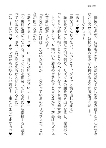 [Hisui - Tourou] Elite Police Rizuve Midarawana no Sennyuu Mission Fhentai - Page 100