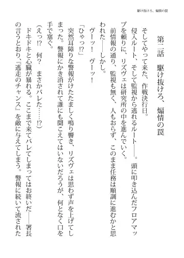 [Hisui - Tourou] Elite Police Rizuve Midarawana no Sennyuu Mission Fhentai - Page 14