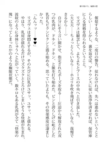 [Hisui - Tourou] Elite Police Rizuve Midarawana no Sennyuu Mission Fhentai - Page 34