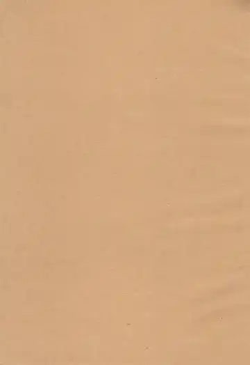 [Aibo] Ougon wa Mitsu no Aji Fhentai - Page 3