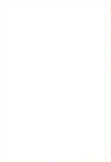 [Aibo] Ougon wa Mitsu no Aji Fhentai - Page 41