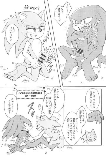 Hatsujouki o Mukaeta no de Angel Island ni Hinan shitekita Fhentai - Page 17