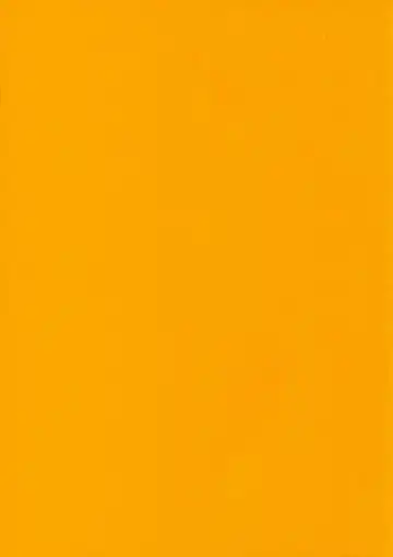 [Koshow Showshow] Koshouchuu 10 Paijou & Suchie-Pai Fhentai - Page 2