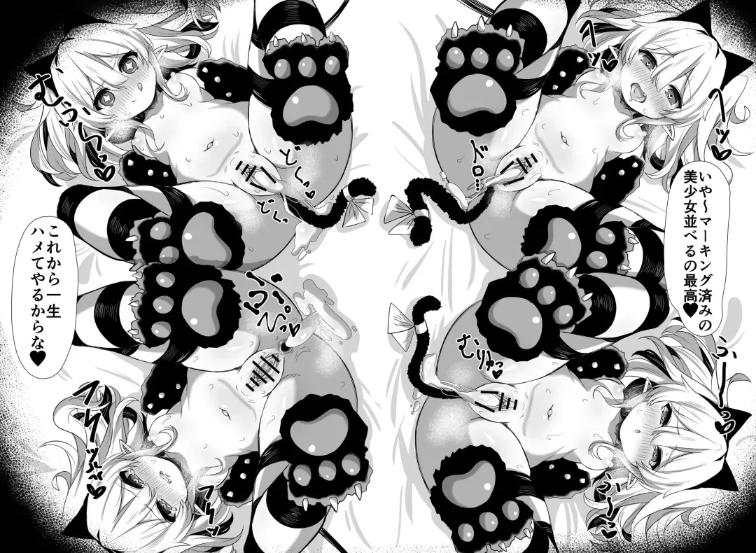 [Kamui] Flan-chan Tanetsuke Koubi Nisshi Fhentai - Page 14