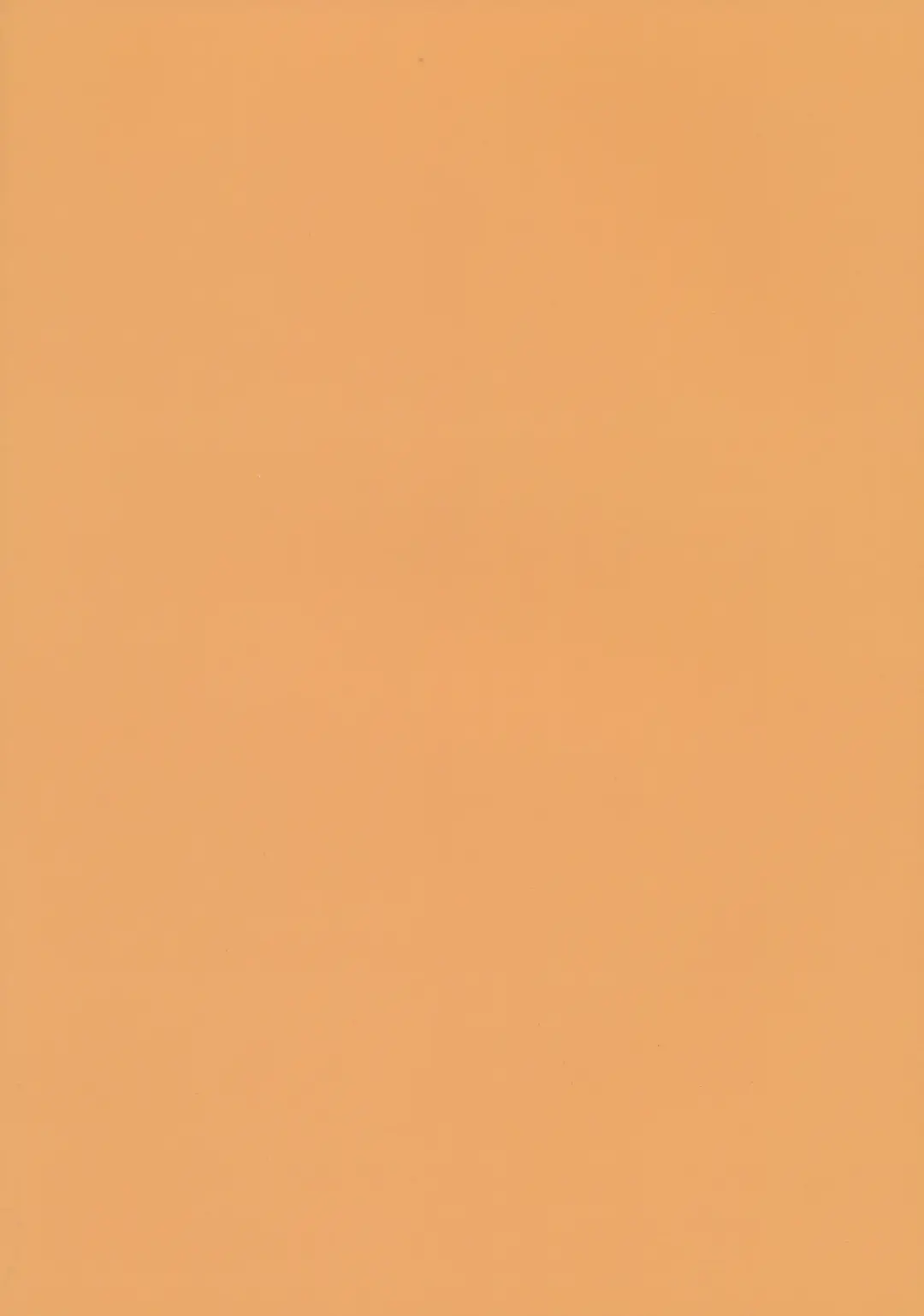 [Magu] AIK SOLE 2023 Winter Fhentai - Page 34