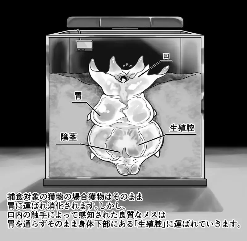 [Ruutyan] 【衝撃】触手生物の巣穴にメスを入れてみた結果がヤバすぎた… Fhentai - Page 6