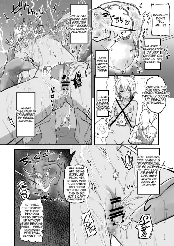 [Pilaf Modoki] The Circle of Chippai Life! Fhentai - Page 14