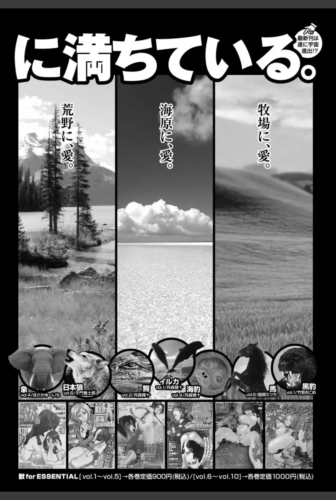 Bishoujo Kakumei KIWAME 2010-12 Vol.11 Fhentai - Page 166