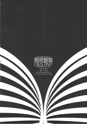 [Kusaka Souji] Soushisouai DESTINY Fhentai - Page 26